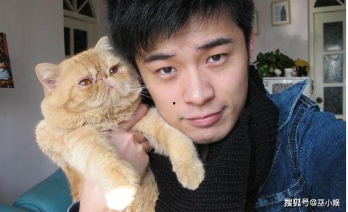 吃瓜娱乐赵小瞒小猫,吃瓜娱乐界的甜蜜萌宠